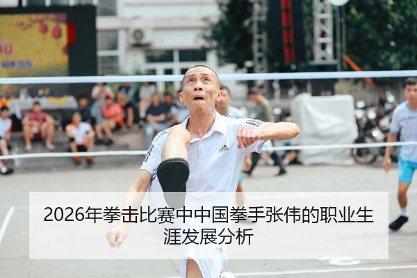 2026年拳击比赛中中国拳手张伟的职业生涯发展分析