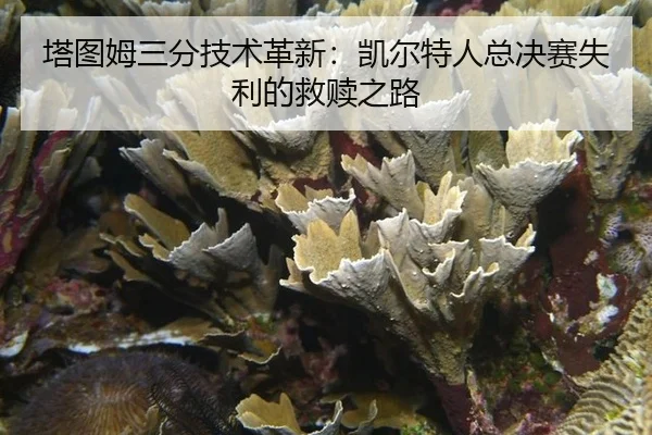 ta-tu-mu-san-fen-ji-shu-ge-xin-kai-er-te-ren-zong-jue-sai-shi-li-de-jiu-shu-zhi-lu-2-573.jpg