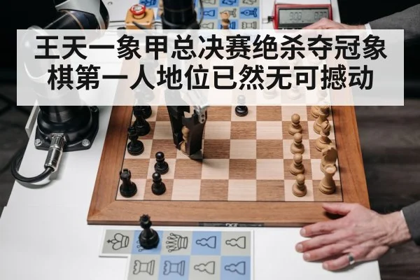 王天一象甲总决赛绝杀夺冠象棋第一人地位已然无可撼动